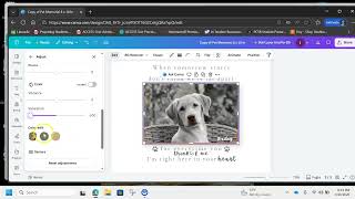 Pet Memorial Demo screenshot 2