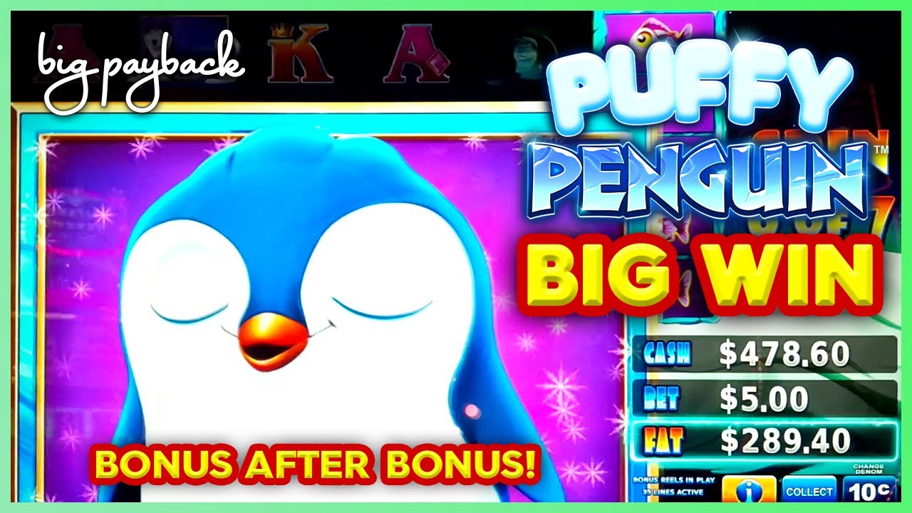 Fat Fortunes Puffy Penguin Slot - BONUS AFTER BONUS! - YouTube