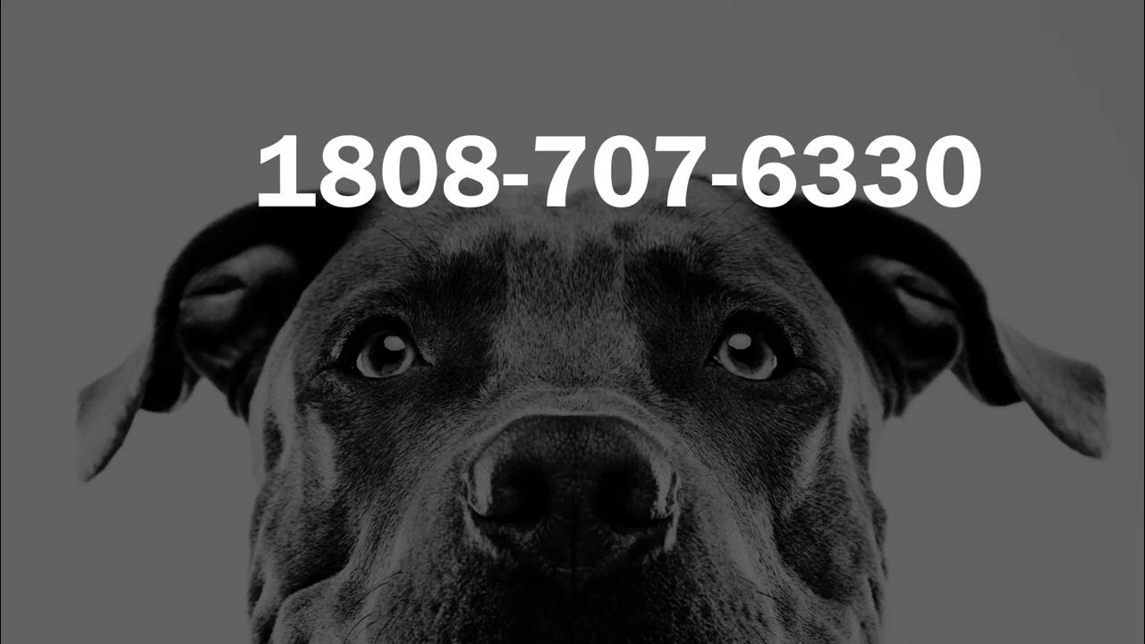 help-microsoft-1808-731-0369-talk-to-a-person-youtube