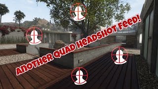 Quad headshot feed on Raid (BO2)