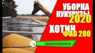 Уборка кукурузы Хотин 2020 / Комбайн New Holland.