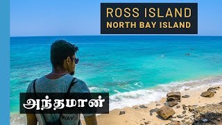 Ross Island & North Bay Island - Scuba Diving & Sea Walk