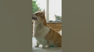 🤖 Real-Time Bug Fixing: The Future of Coding 🚀