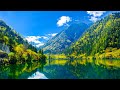 Beautiful Relaxing Music 🌿 Positive Energy, Study music,Meditation, Stress Relief Music #10