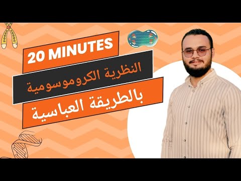 النظرية الكروموسومية