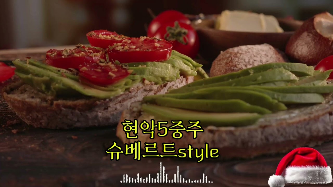 [classic]🎵A Schubert-style 🎻string quintet that brings deep healing during winter.