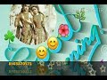 Sunil meena dj feet song