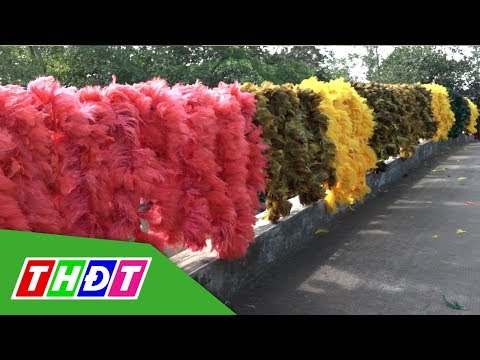 Video Làng nghề chổi lông gà tăng sản phẩm phục vụ Tết | THDT - youtube