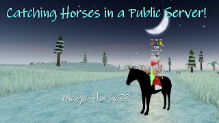 Catching Horses in a Public Server and Finding a Magic Horse?! | Wild Horse Islands