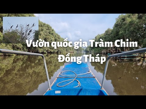 Video Vườn Quốc Gia Tràm Chim Đồng Tháp: Đi thuyền giữa rừng... - youtube