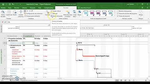 11 - Seguimiento de proyectos