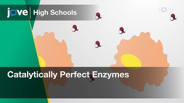 Catalytically Perfect Enzymes | Cell Bio | Video Textbooks - Preview