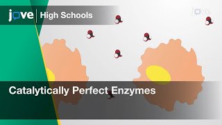 Catalytically Perfect Enzymes Cell Bio Video Textbooks Preview