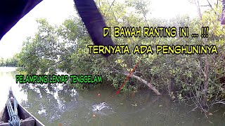 penghuni ranting bakau muara sicanang - mancing nyampan saat pasang besar .