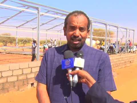 نفير نهضة شمال كردفان الانتاج والانتاجية مشروع الدواجن الحديث ببارا