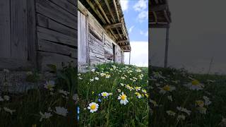 Reşadiye Çeşitleme... (Reşadiye Uzun Hava...) Şadiye Ğlar