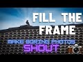 Fill the Frame - Backyard Photography and Shutter Therapy while in lockdown
