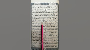 تعليم سورة فصلت من 15 إلى 16