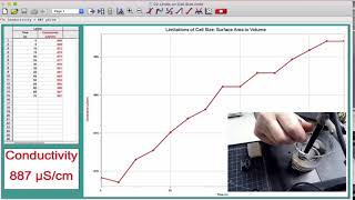 Limits to Cell Size Lab Part 2