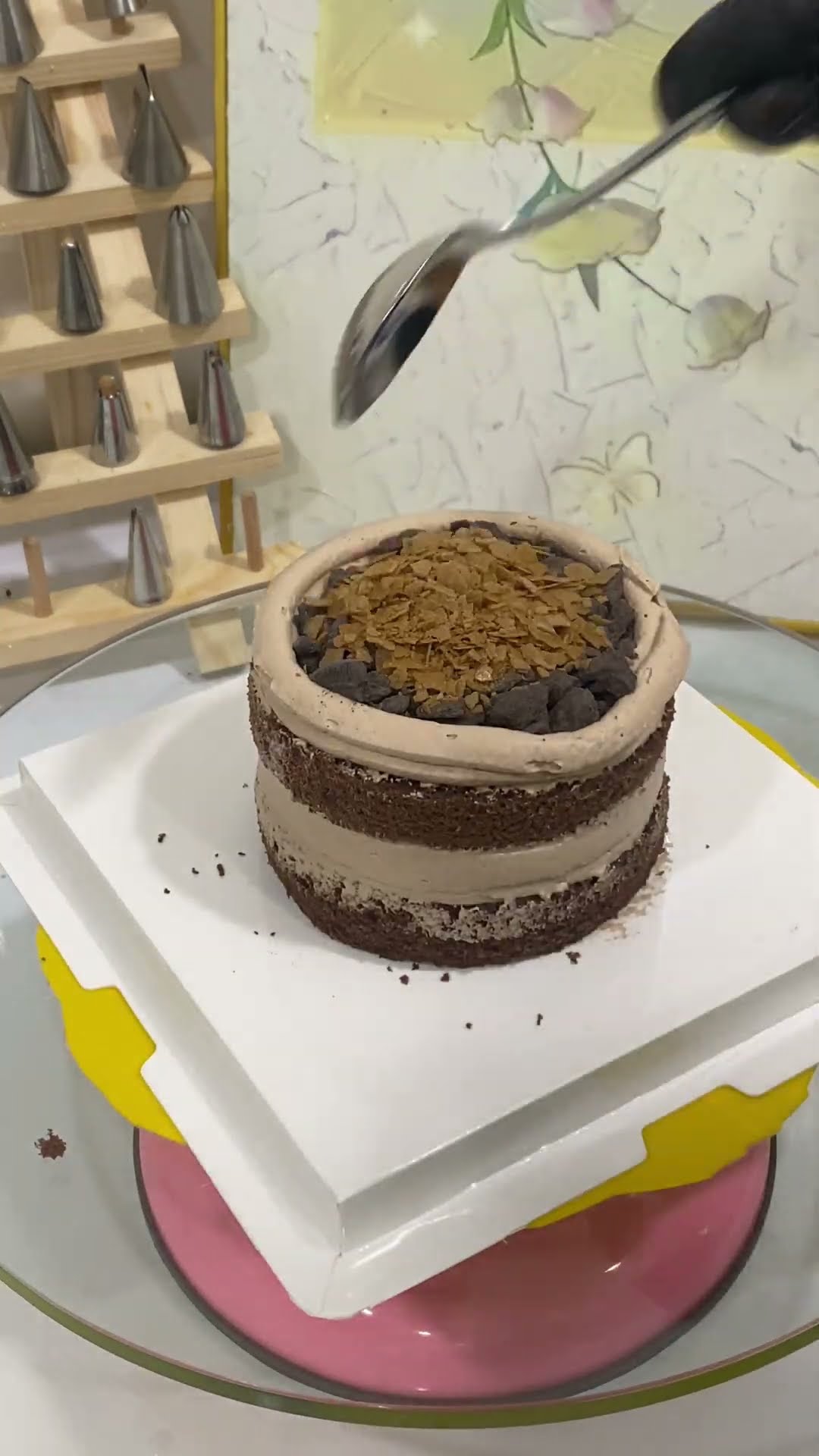 Changshu animal cream cake customization | immersive cake making | chocolate cake Changshu cake