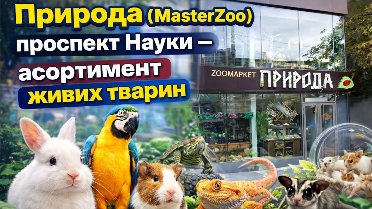 Природа (MasterZoo) проспект Науки — асортимент живих тварин 2026 рік 