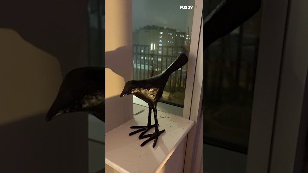 BYOB camping trip this weekend! (Bring your own bird)