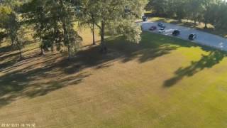 split s try over trees