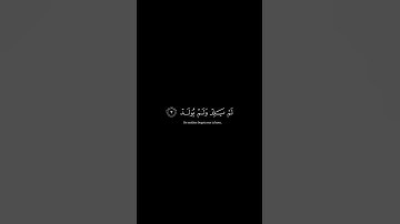سورة الاخلاص #عبدالرحمن_مسعد #quran #قرآن
