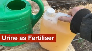Using Urine as Fertiliser