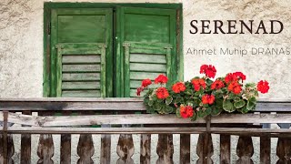 Serenad Şiiri | Ahmet Muhip Dıranas (Sesli Şiir)🎼🎙