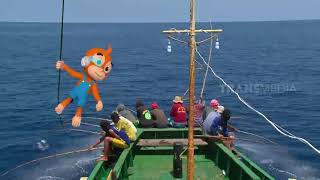 Panen Besar Ikan Cakalang Bareng Otan | SI OTAN (05/05/21)