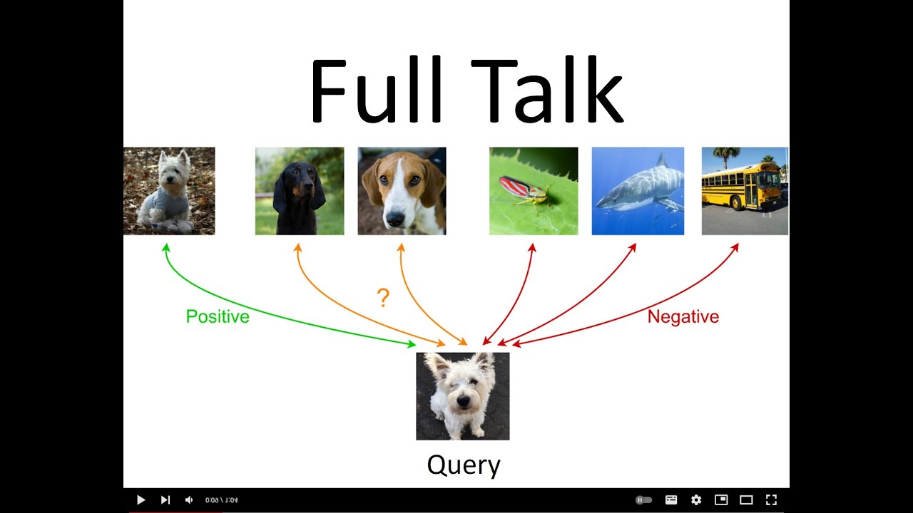 Ranking Info Noise Contrastive Estimation (AAAI 2022 Full Talk)