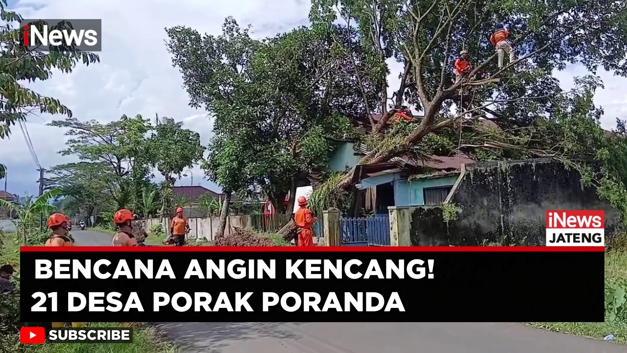 Angin Kencang Porak Porandakan 21 Desa di Purbalingga, Pohon Beringin Tumbang | iNews Jateng