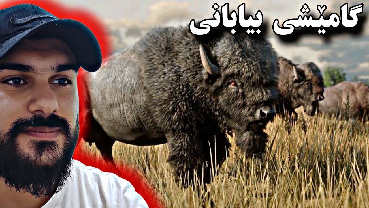 ڕاوکردنی گامێشی بیابانی لە یاری (ڕێد دێد ڕێدێمپشن)ی دوو، زۆر گەورەیە 😍🔥
