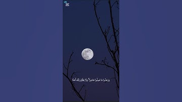 ما تيسر من سورة الكهف #قران_كريم #راحة_نفسية