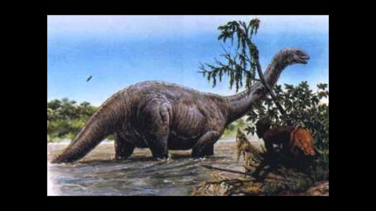 Alleged Living Dinosaur Mokele-Mbembe Sound Recording 