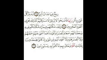 سورة الأحقاف 12 القسم الثاني عشر تكرار كيفي من .. ريح فيها عذاب أليم .. إلى .. يستهزئون #quran #قرآن