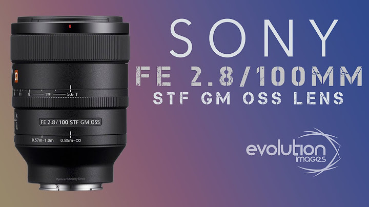 Đánh giá sony 100mm f2.8 năm 2024