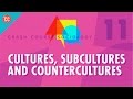 Cultural Dynamics and Diversity in Society