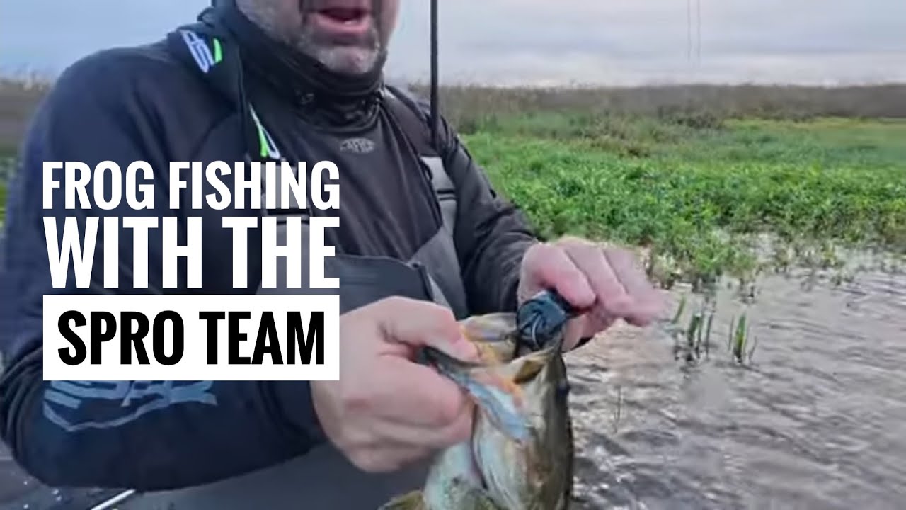 Frog fishing with the Spro Team Lake Okeechobee