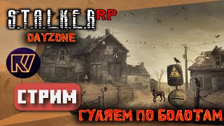 Гуляем по болотам ● STALKER RP ● DayZone ● 185