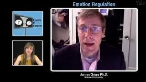 Experts in Emotion 14.1 James Gross on Emotion Regulation
