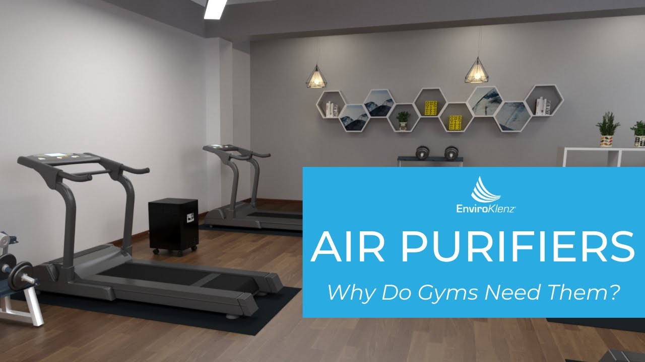Air Purifiers Why Do Gyms Need Them? YouTube
