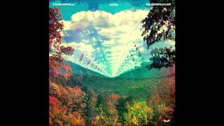 Tame Impala - I Don't Really Mind (432hz)