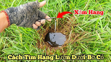 Câu lươn với cách tìm hang lươn và xăm hang bằng dụng cụ đơn giản này_tập483//Howto find eel burrow