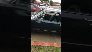 IMG 7556