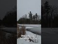 Pond in the evening - Mar 25 #ottawa #nature #canada #pond #snowing