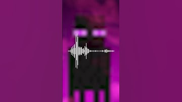 Enderman Are Actually Speaking ENGLISH 😳