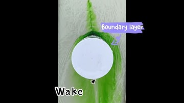 MEC2404 - Home Flow Visualization - Group 10