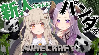 【Minecraft】新人ちゃんにパンダを捧げて懐かせる！/ 天絆ささは #ささめあ【西園寺メアリ / ななしいんく】